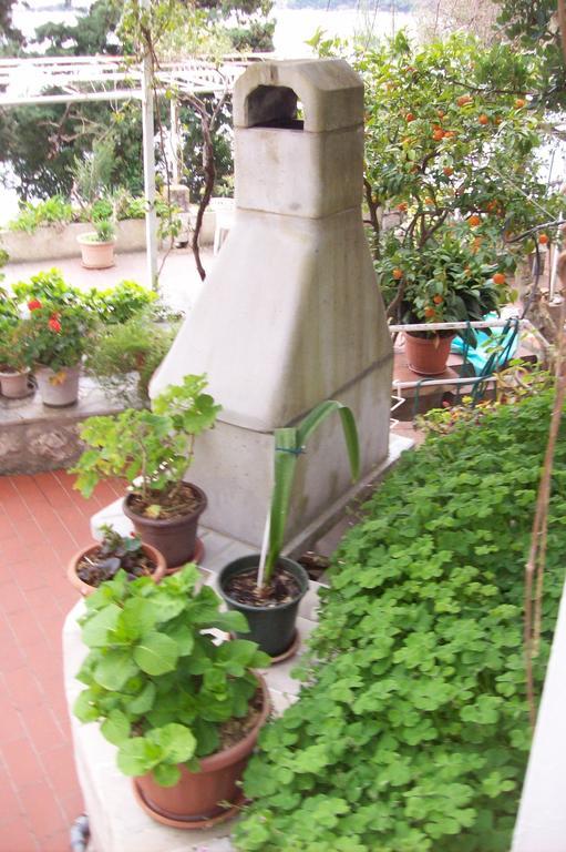 Captain'S Villa Molunat Dış mekan fotoğraf